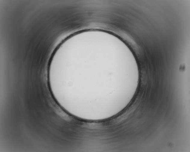 X0000101391280200808041008