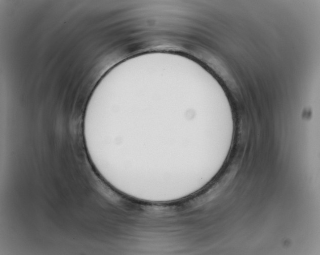 X0000101391281200808041008