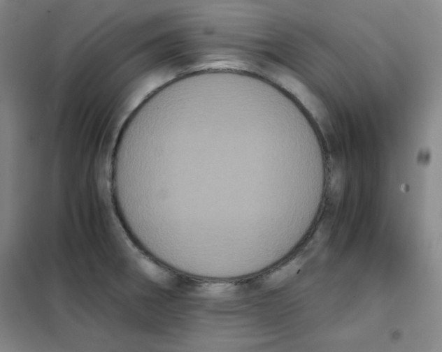 X0000101391282200808041008