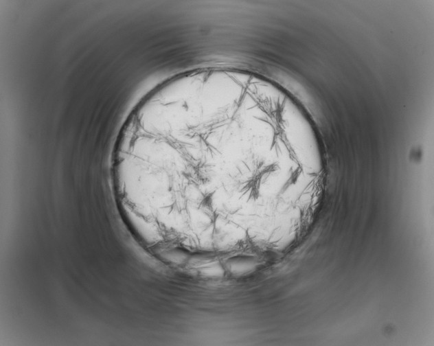 X0000101391283200808041008