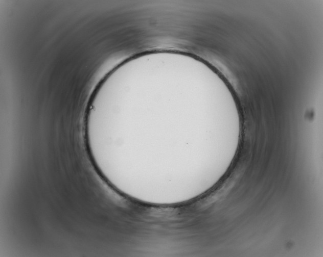 X0000101391285200808041008