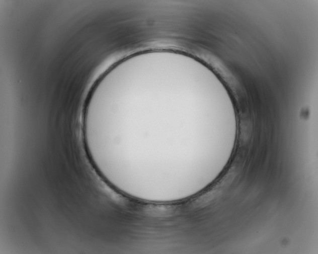 X0000101391286200808041008