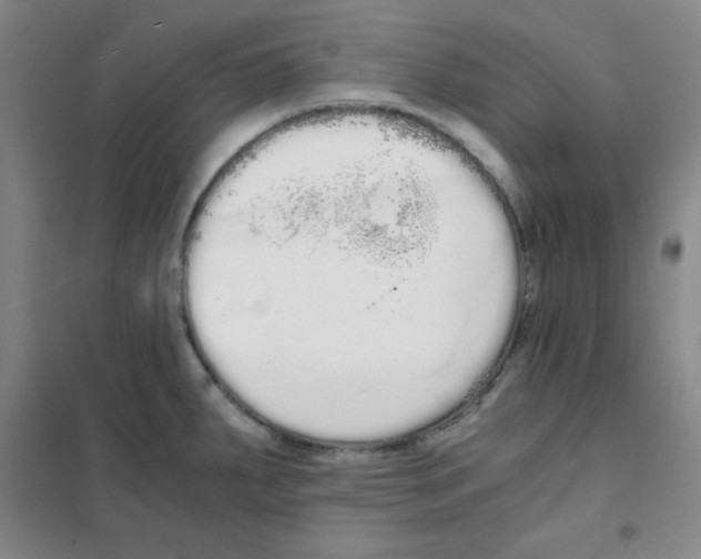 X0000101391287200808041008