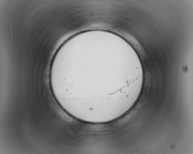 X0000101391288200808041008
