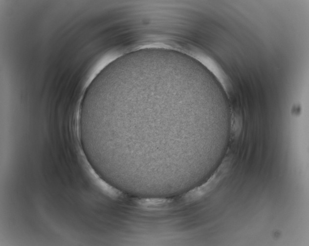 X0000101391290200808041008
