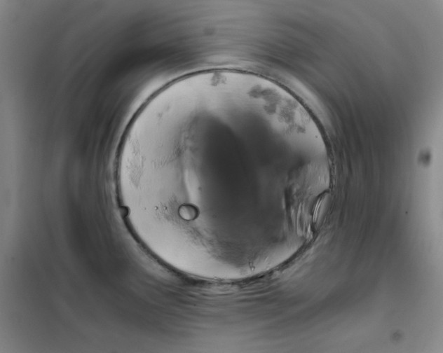 X0000101391291200808041008