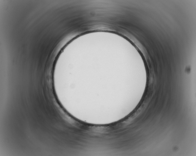 X0000101391293200808041008