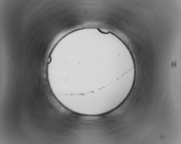 X0000101391296200808041008