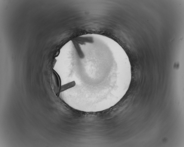 X0000101391297200808041007