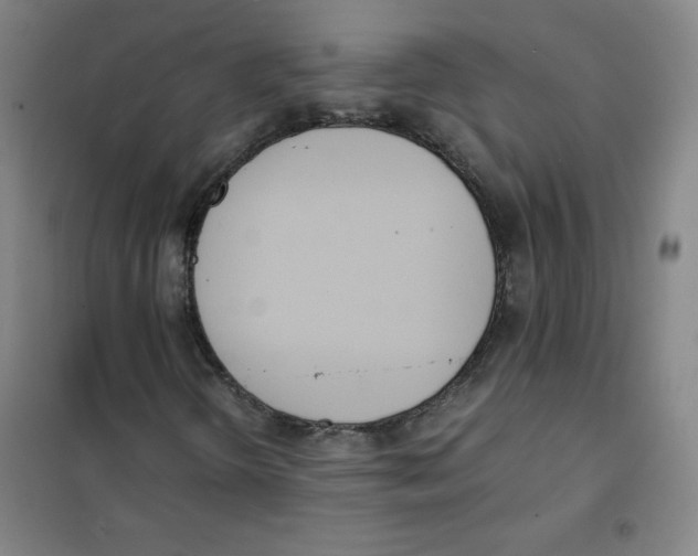 X0000101391298200808041007