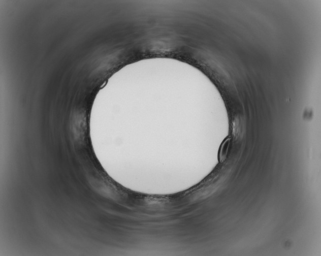 X0000101391299200808041007