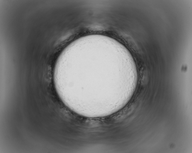 X0000101391301200808041007