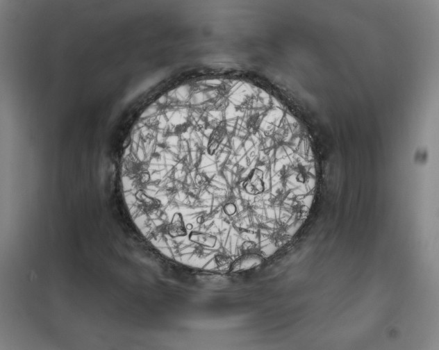 X0000101391302200808041008