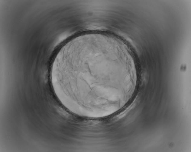 X0000101391306200808041008