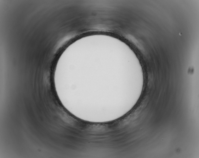 X0000101391307200808041008
