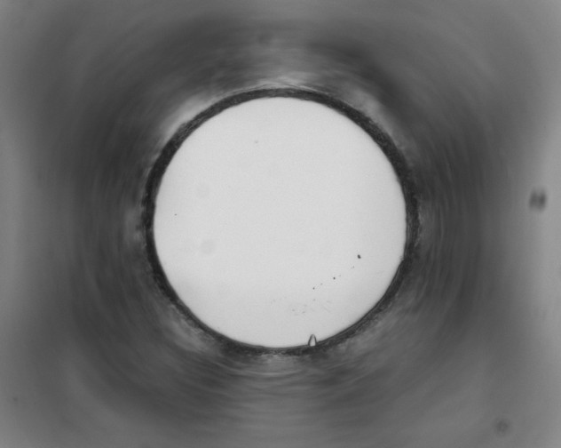 X0000101391308200808041008