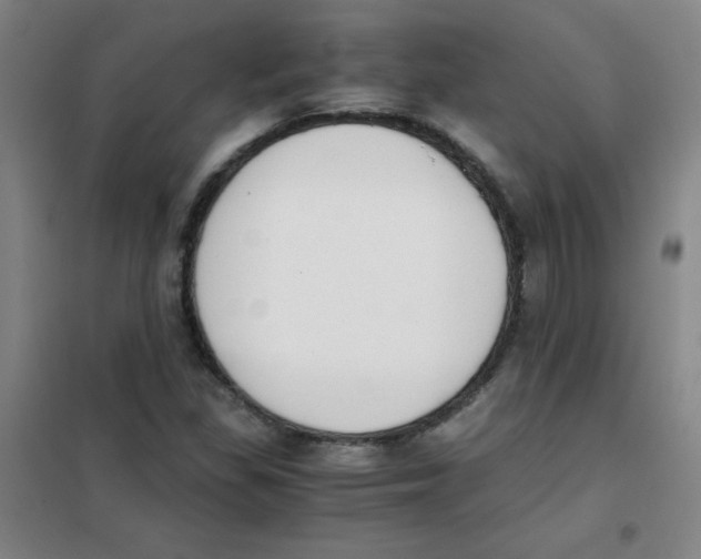 X0000101391309200808041008