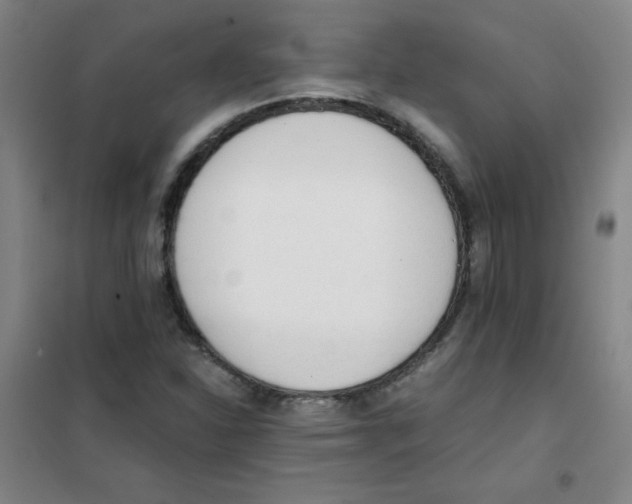 X0000101391310200808041008