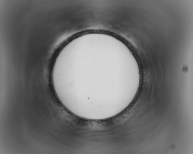 X0000101391311200808041008
