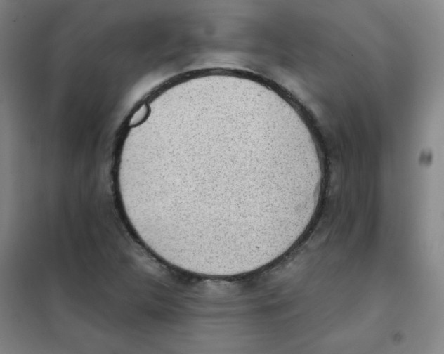 X0000101391312200808041008