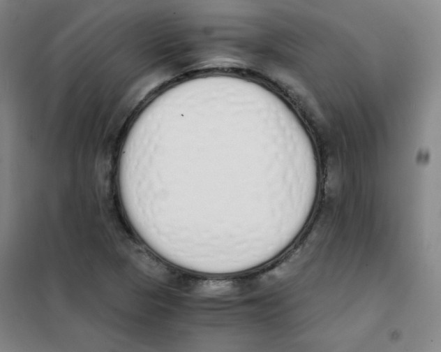 X0000101391313200808041008
