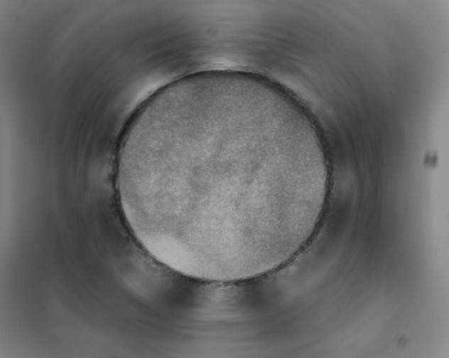 X0000101391314200808041008