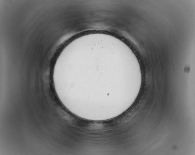 X0000101391315200808041008