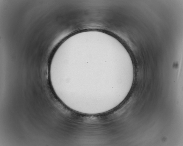 X0000101391317200808041008