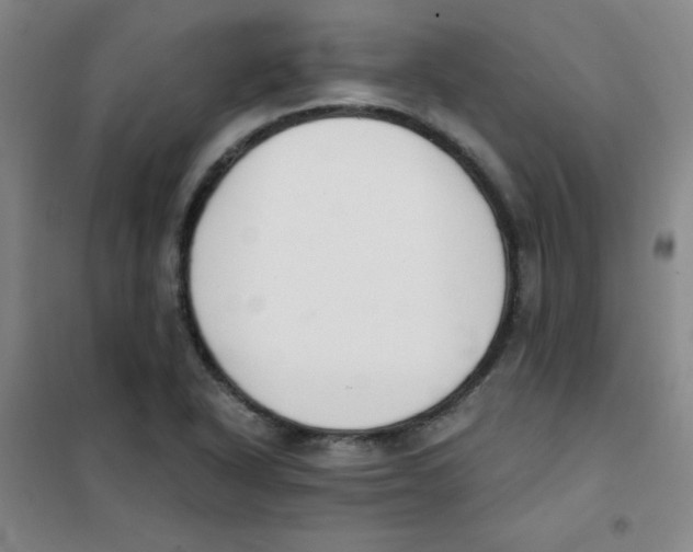 X0000101391318200808041008