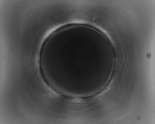 X0000101391319200808041008