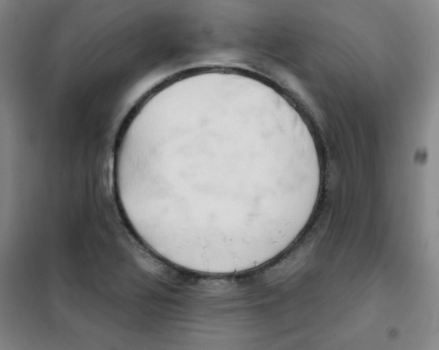 X0000101391320200808041008