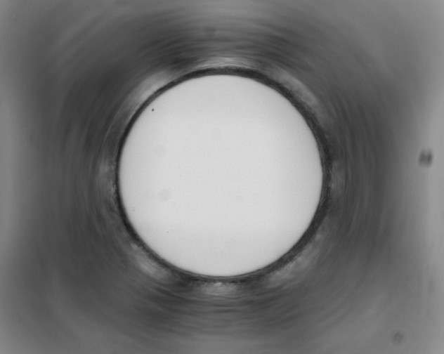 X0000101391321200808041008