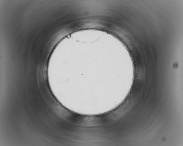 X0000101391322200808041008
