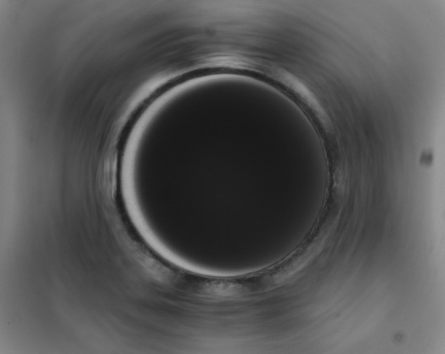 X0000101391323200808041008