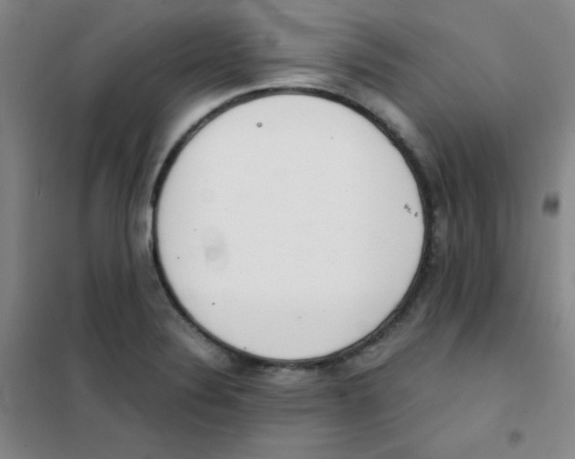 X0000101391324200808041008