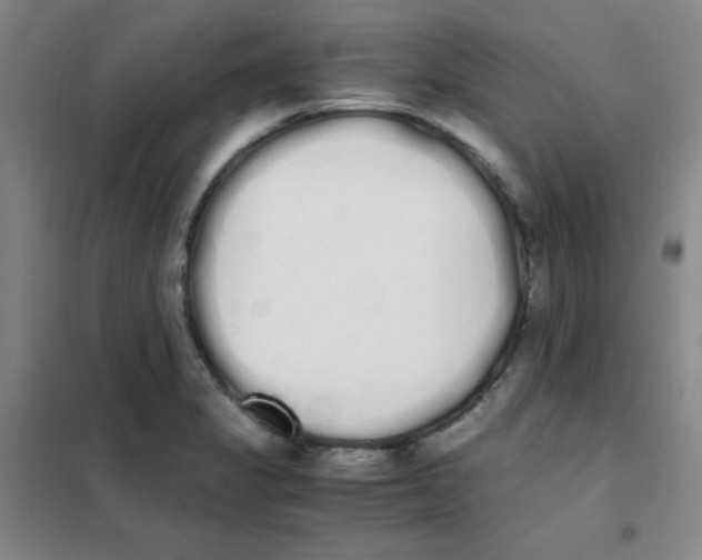 X0000101391325200808041008