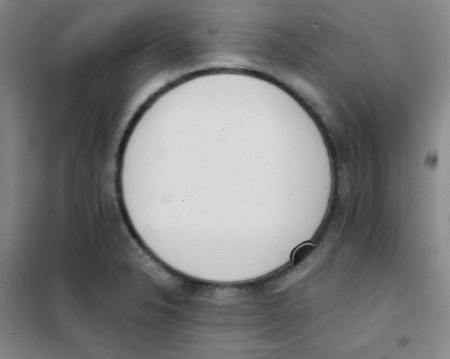 X0000101391326200808041008