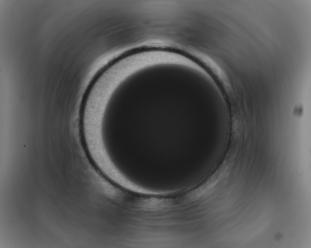 X0000101391327200808041008