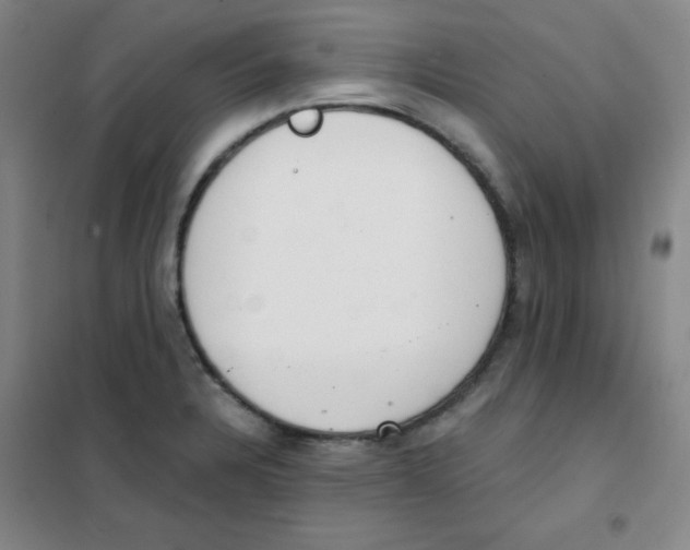 X0000101391328200808041008