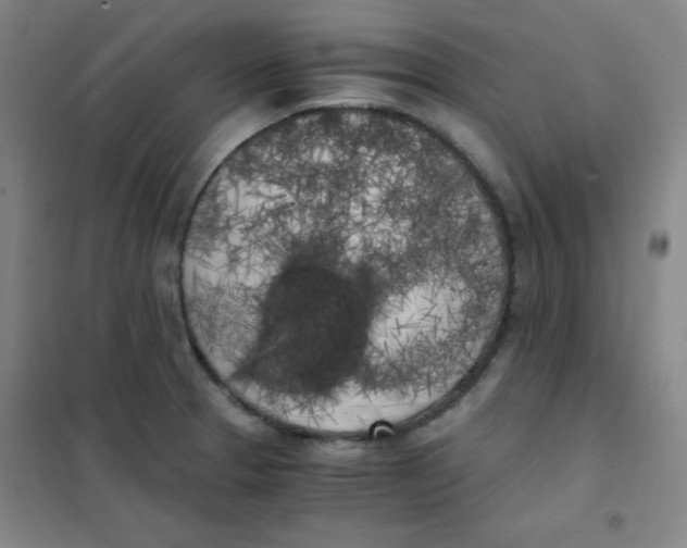 X0000101391329200808041008
