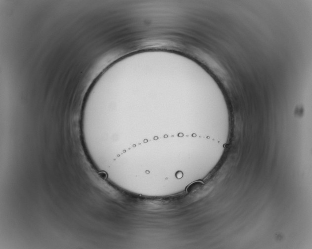 X0000101391330200808041008
