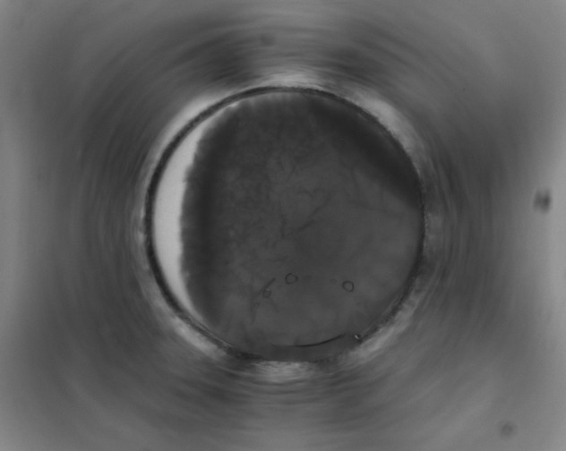 X0000101391331200808041008
