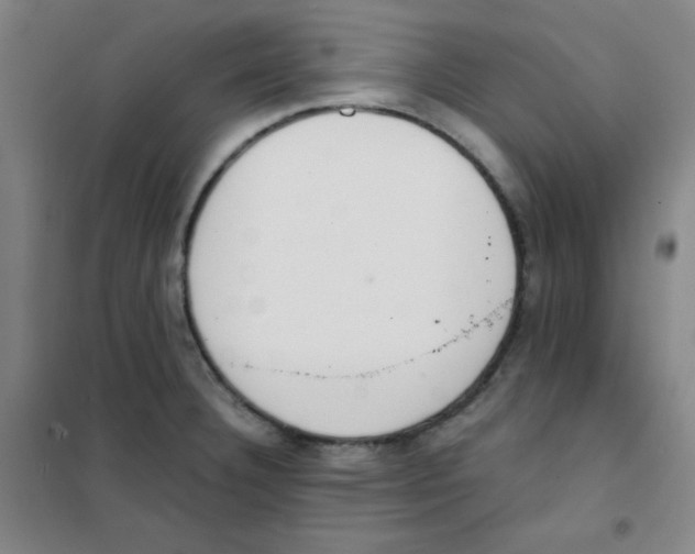 X0000101391332200808041008