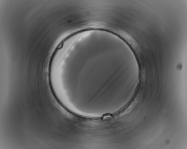 X0000101391334200808041008