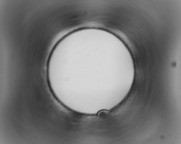 X0000101391335200808041008