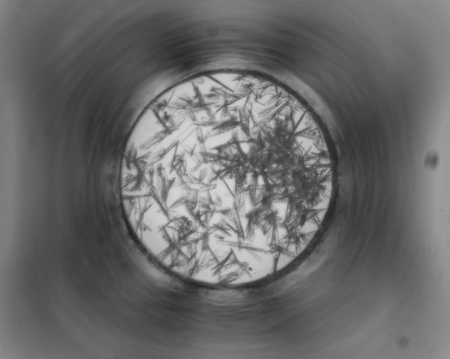 X0000101391337200808041008