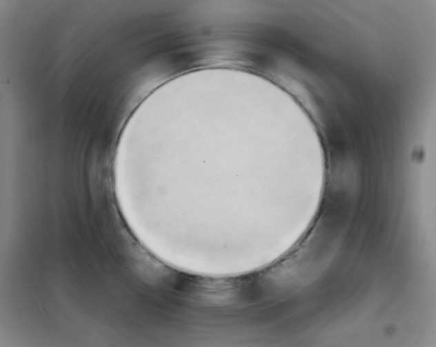 X0000101391338200808041008