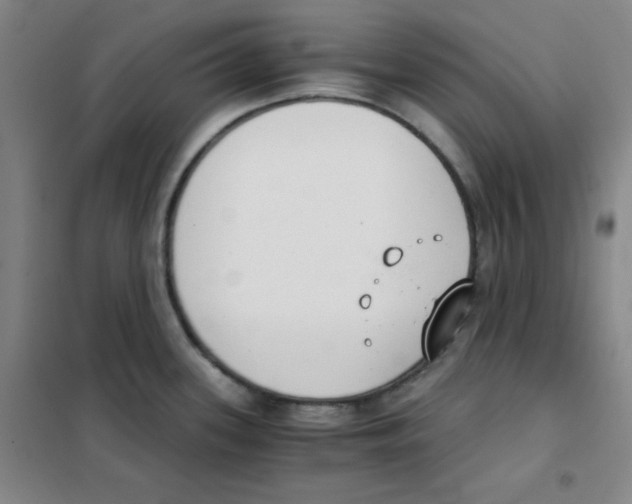 X0000101391339200808041008