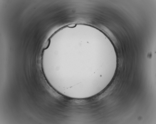 X0000101391340200808041008