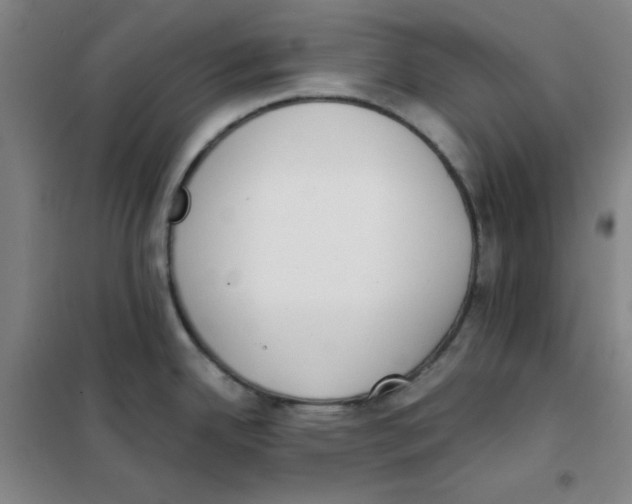 X0000101391342200808041008